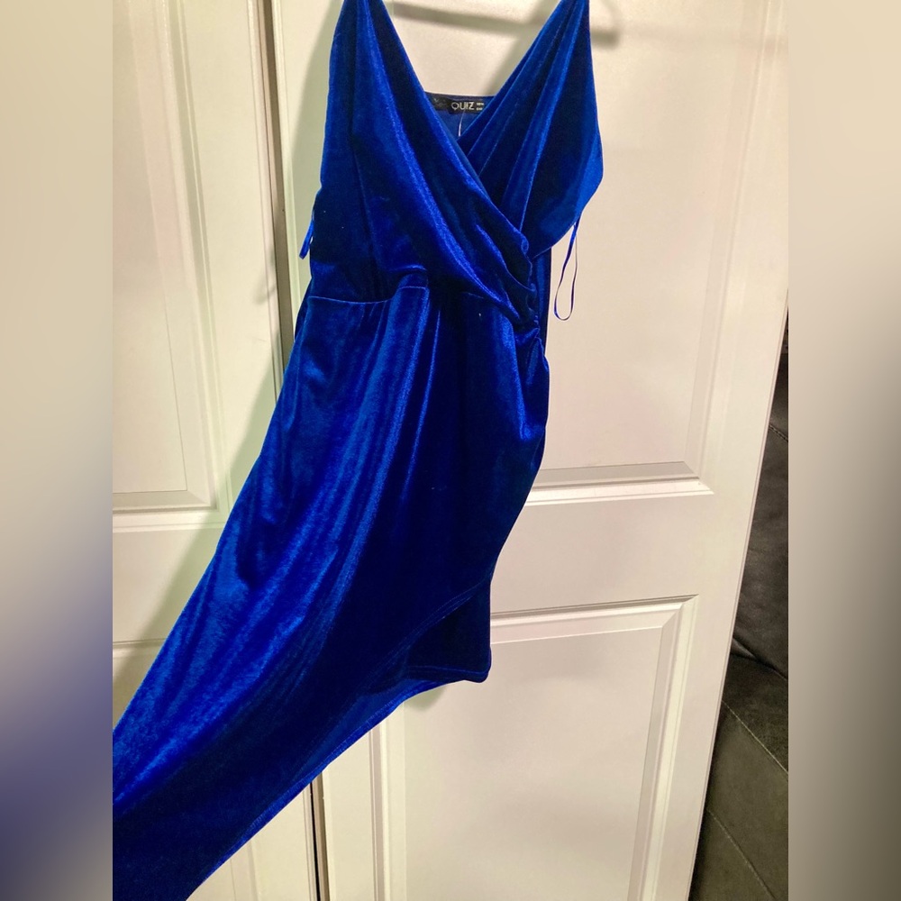 NWT Blue Velvet Quiz Dress (size 10)